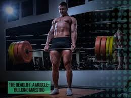 Image result for Durham Powerlifting