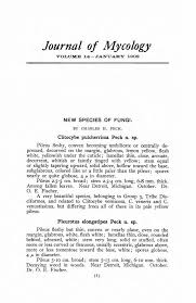 Attēlu rezultāti vaicājumam “Pistillaria sp.”