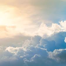 Image result for "Ellen Roper"