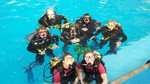 Image result for Plymouth Aquanauts