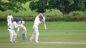 Image result for Whitchurch Wayfarers Cricket Club