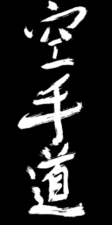 Image result for Seiki Juku Karate Club