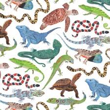 Attēlu rezultāti vaicājumam “Reptilia”