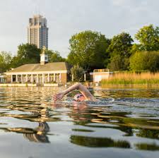 Image result for Serpentine Swimming Club