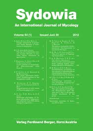 Attēlu rezultāti vaicājumam “Junghuhnia pseudozilingiana”