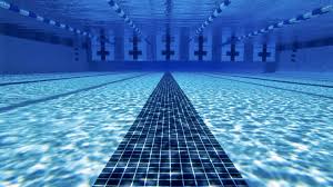 Image result for Ware Swimming Club