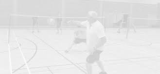 Image result for Wareham and Purbeck Badminton Club