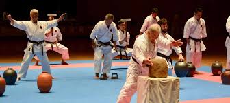 Image result for Goju.co.uk