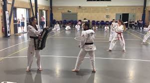 Image result for South Bank Taekwondo