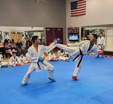 Image result for Excalibur Shotokan Karate Club