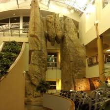 Image result for The Broomfield Club