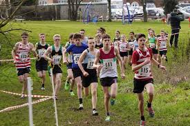 Image result for Ledbury & District Harriers