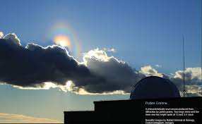 Attēlu rezultāti vaicājumam “pollen corona”