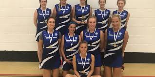 Image result for Winchester Netball Club