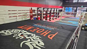 Image result for Phoenix Kick Boxing Club