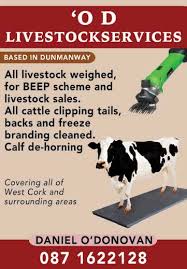 Image result for Peadar O`dornin College