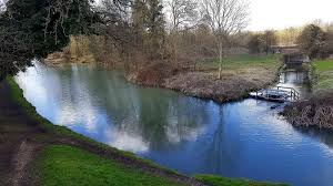 Image result for Reigate & District Angling Association