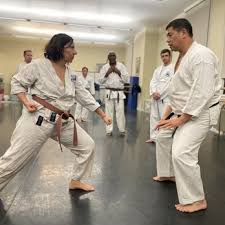 Image result for Excalibur Shotokan Karate Club