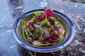 Image result for noma mad