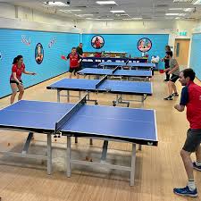 Image result for Perthshire Table Tennis Club