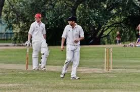 Image result for Portishead Cricket Club
