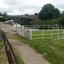 Image result for Hereford Rowing Club