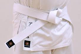 Image result for Imperial College Shorinji Kempo Society