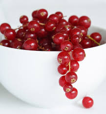 Bildergebnis für rote johannisbeeren