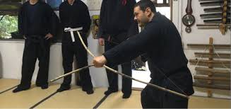 Image result for Bujinkan Crawley Dojo