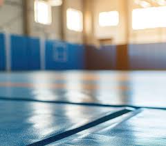 Image result for Cedar House Badminton Club