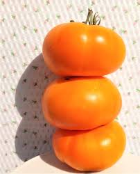 Afbeeldingsresultaat voor belarus orange tomato