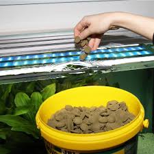 Image result for Malfoder