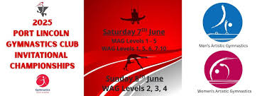 Image result for Lincoln Gymnastics Club