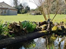 Image result for Nutley Hall Cricket Club