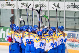 Image result for Adur Skater Hockey Club