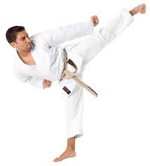 Image result for Karate Wado Kai