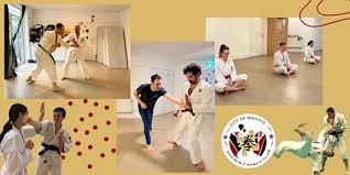 Image result for Bristol Taekwondo School