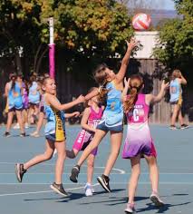 Image result for Beeches Netball Club