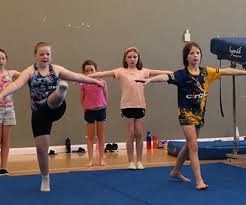 Image result for Northern Gymnastics Club CIC