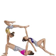 Image result for Harriers Acrobatic Gym Club