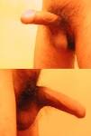 File:Male-<b>genitalia</b>-side-