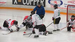 Image result for Streatham Night Wolves Ice Hockey Team