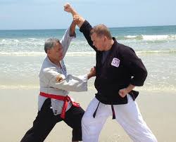 Image result for Hachidori ju-jitsu Martial Arts