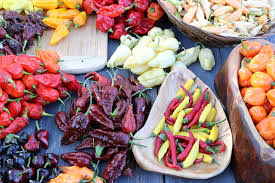 Afbeeldingsresultaat voor aji habanero hot pepper