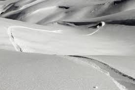 Image result for Sandown Sports Club