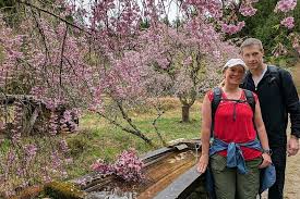 Image result for 道中●i4004