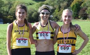 Image result for Annadale Striders Ac