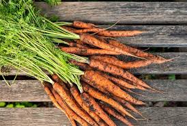 Image result for Möhren