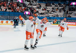 Image result for Sheffield Steelers