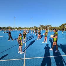 Image result for Zodiac Netball Club